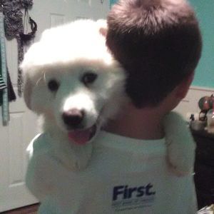 Meet your Posher, Andrea